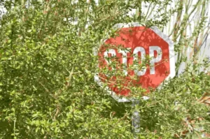 JG-blog-post_obstruction-caused-my-car-accident-who-is-responsible-scaled-1.jpg (1)